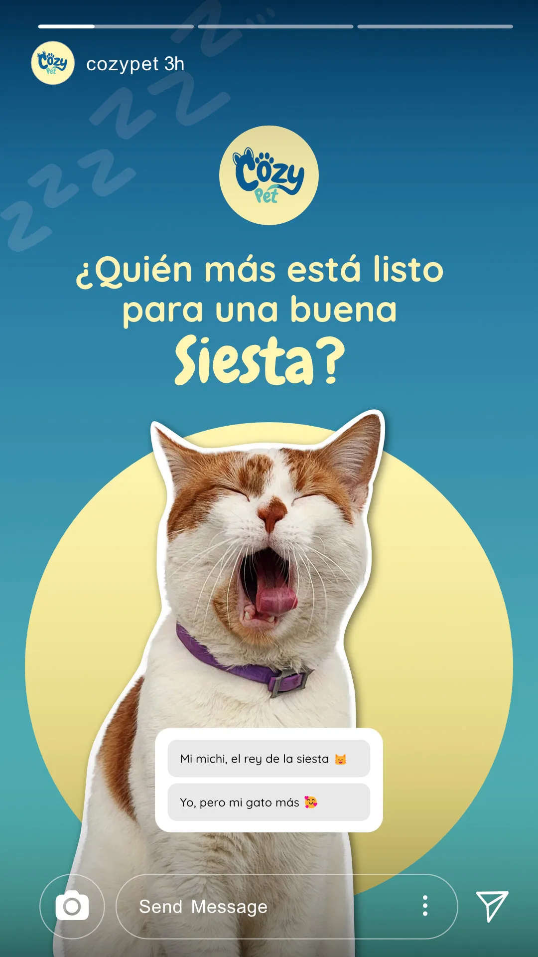 Story de CozyPet cama para gatos